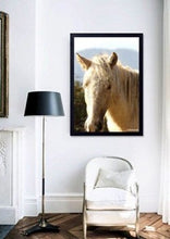 Load image into Gallery viewer, The horse series by Abhishek Singh
