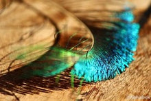 Load image into Gallery viewer, The Peacock Feather by Abhishek Singh
