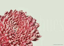 Load image into Gallery viewer, THE UNLIKE FLOWER by Aishwarya Gathawala
