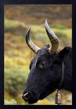 Load image into Gallery viewer, The black horn by Abhishek Singh

