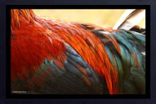 Load image into Gallery viewer, Feathers by Abhishek Singh
