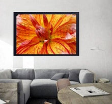 Load image into Gallery viewer, Orange petals by Abhishek Singh
